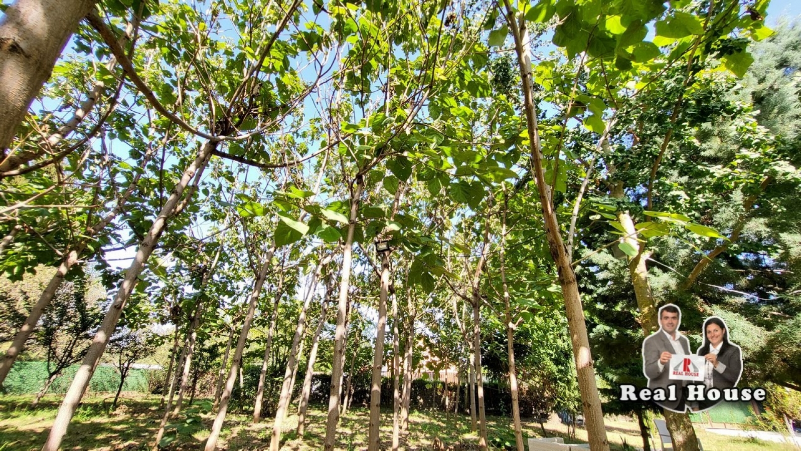 Čortanovci-zelena oaza, šuma i komplet sređen enterijer