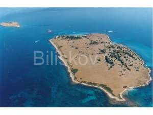 Otok u akvatoriju sjevernog Jadrana