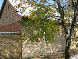 Kuća u Vrbasu