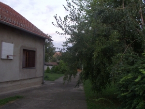 Kuca i plac u Radujevcu(na Dunavu)