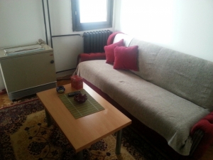 Izdajem dvosoban stan u širem centru Kragujevca