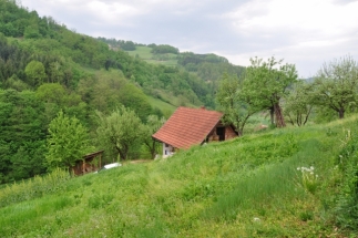 Vikend kuća u okolini Bajine Bašte