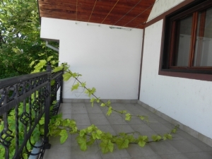Funkcionalna kuća sa potkrovljem okružena zelenilom - Kovačica