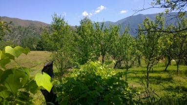 Продајем имање 10, 3 хектара у планинама Србије од власника