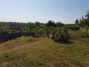 Prodaja seoskog gazdinstva u Zagorici (Topola)