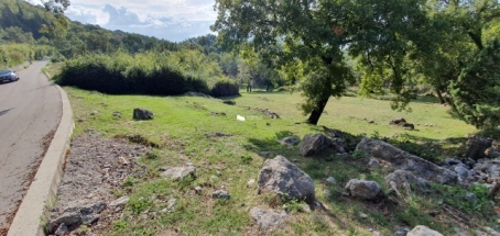 Land for sale in Trebesin