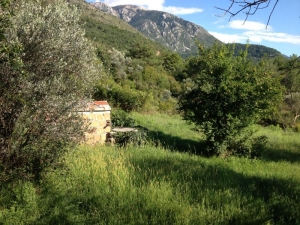Two plots for sale in the village of Kavac, near Kotor, Montenegro. Quiet location, extremely afford