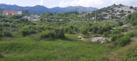 Land for sale in Cetinje 30. 000m2