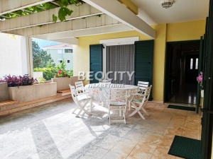 Petrovac, Centar, Stupovi, 6. 0, 181m2, 650000EUR