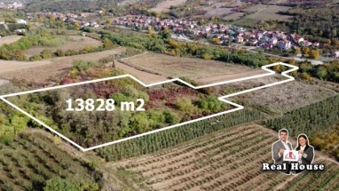 Organsko zemljiste u Sremskim Karlovcima -13828 m2