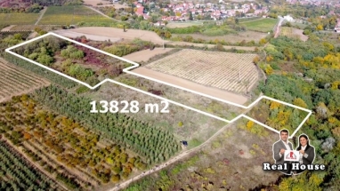 Organsko zemljiste u Sremskim Karlovcima -13828 m2