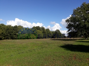 Land - great location, attractive to investors