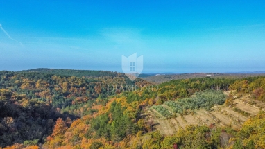 Building land with a beautiful view near Grožnjan