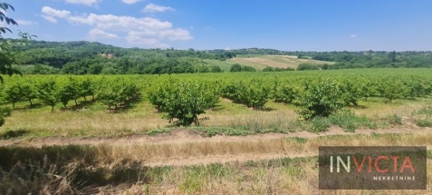 Poljoprivredno zemljište, plantaža - Sr. Karlovci