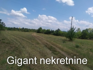Prodaja zemljišta u okolini Rtnja-Podgorac-Bogovina