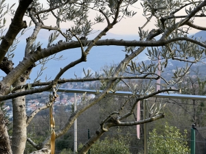 OPATIJA, POLJANE - Rustikalna vila od 300m2 s panoramskim pogledom na Kvarnerski zaljev