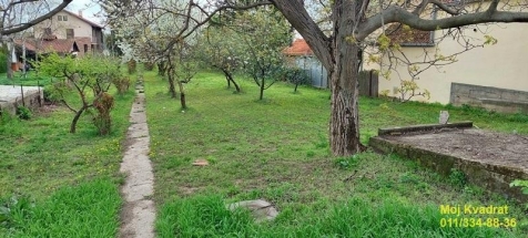 Stara Pazova, Novi Banovci - Beogradska, 20ari