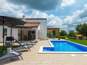 ISTRIA, PAZIN - Modern villa with a swimming pool and a spacious garden