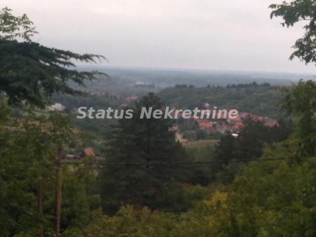 Sremski Karlovci-Stražilovo-Visinska Vikendica u Rajskoj bašti-065/385 8880