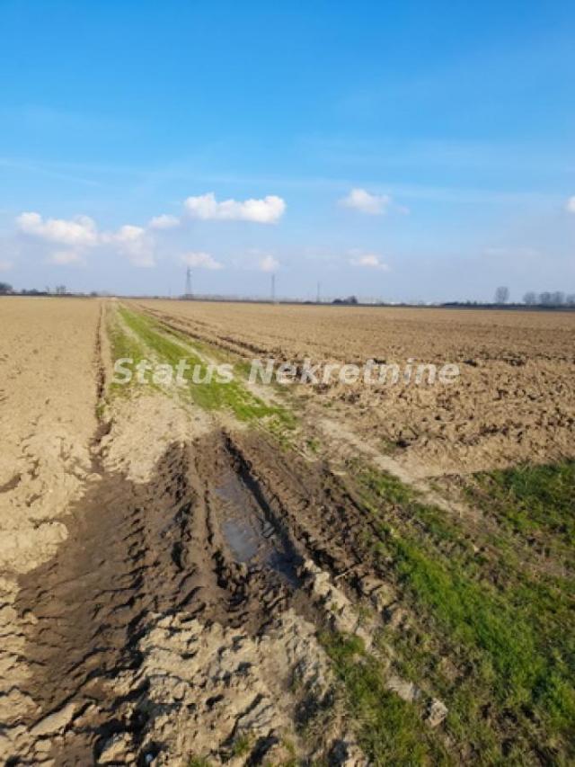 Futog-potez Vizić-Poljoprivredno zemljište 4 jutra na budućem Magistralnom putu Novi Sad-Bačka Palan