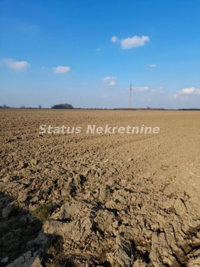 Futog-potez Vizić-Poljoprivredno zemljište 4 jutra na budućem Magistralnom putu Novi Sad-Bačka Palan