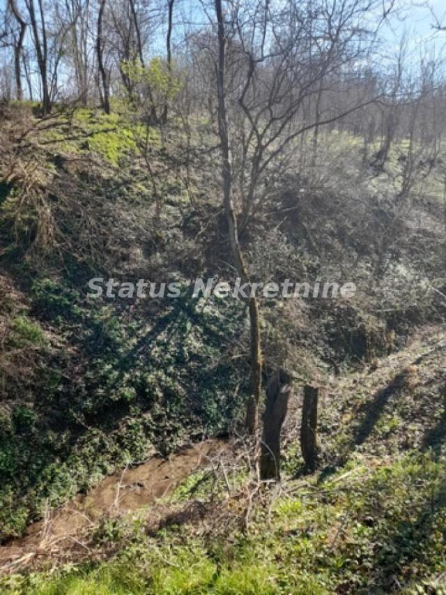 Sremski Karlovci-Fantastičan osunčan plac 7025 m2 za Vinograd i sa pogledom-065/385 8880