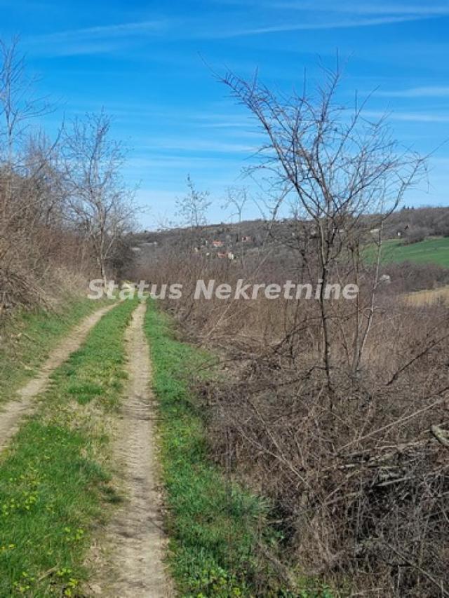 Sremski Karlovci-Fantastičan osunčan plac 7025 m2 za Vinograd i sa pogledom-065/385 8880