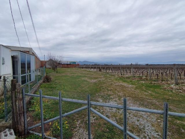 Plot with vineyards in Podgorica for sale