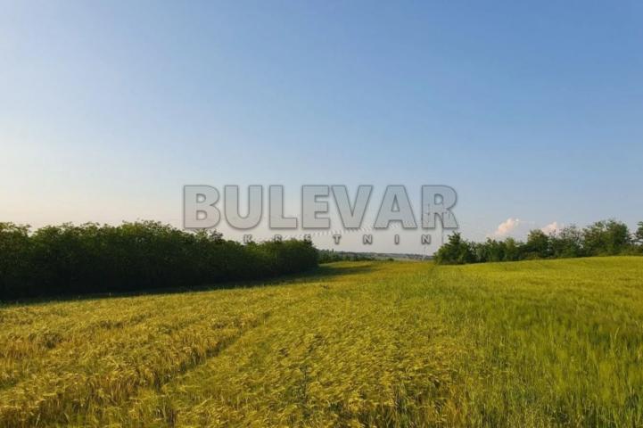 Beograd, Velika Moštanica (Čukarica)  –Poljoprivredno zemljište 10073 m2