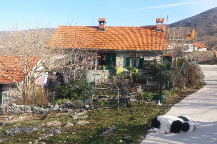 Ruda, Sinj, renovirane kamene kuće s vrtom