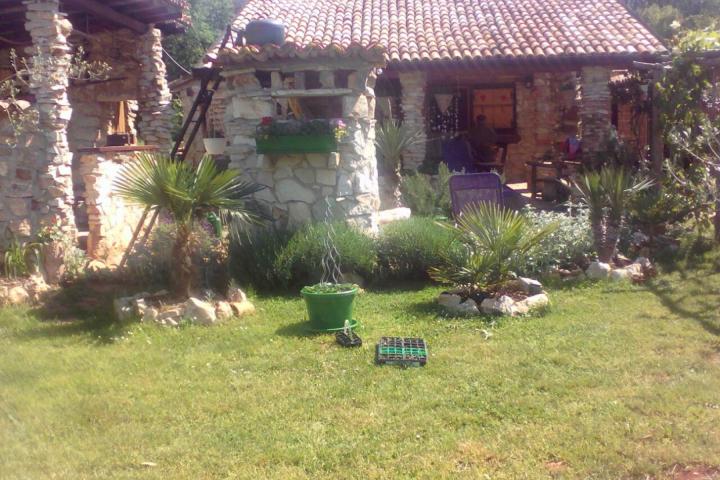 Istra, Umag, kamena kuća s velikom okućnicom