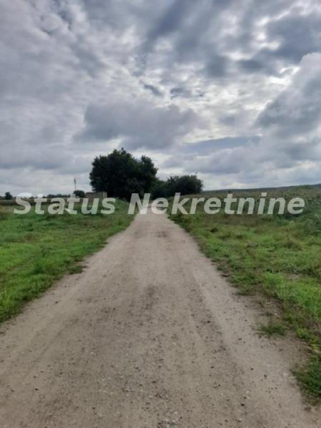 Begeč-super povoljno za uživanje lepa velika građevinska parcela 1371 m2 u blizini Dunavske Jame-065