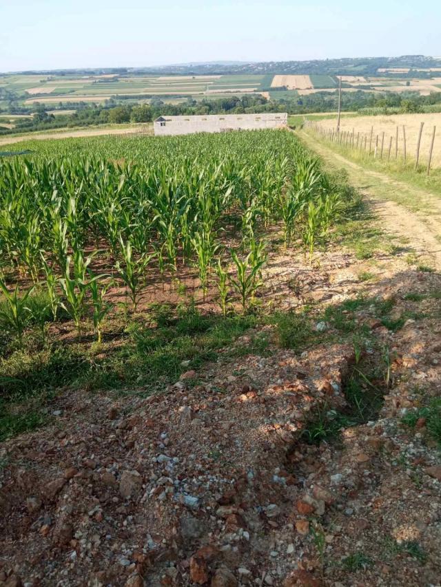 Poljoprivredno zemljište, Šljivovac kod Kragujevca – 4734 m2, započet objekat 30 m x 6, 5 m
