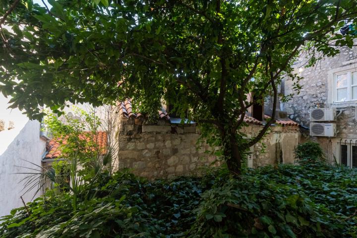 Dubrovnik - Stari Grad, kamena kuća s vrtom