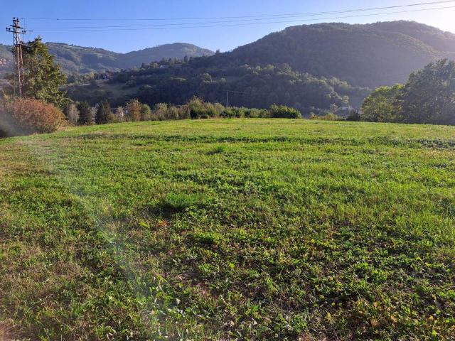 Zlatibor Zlatibor