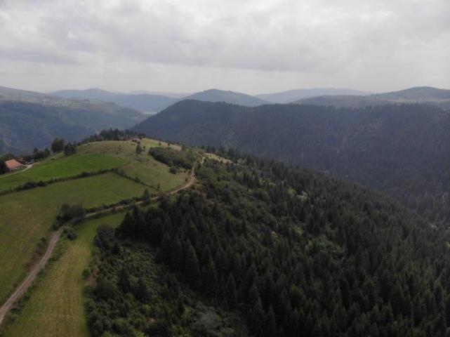 Prodaje se poljoprivredno i šumsko zemljište, 1. 01, 48 ha, Gujanička mala, Nova Varoš