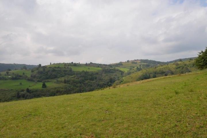 Prodaje se poljoprivredno i šumsko zemljište, 1. 01, 48 ha, Gujanička mala, Nova Varoš