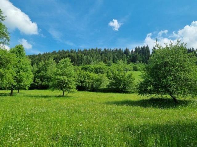 Prodaje se građevinsko zemljište 37, 98 ar, Drmanovići, Nova Varoš