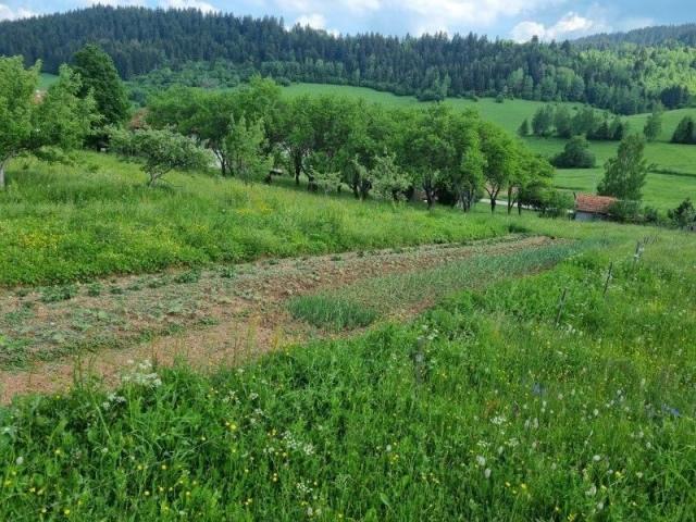 Prodaje se poljoprivredno zemljište 8047 m2, Drmanovići, Nova Varoš