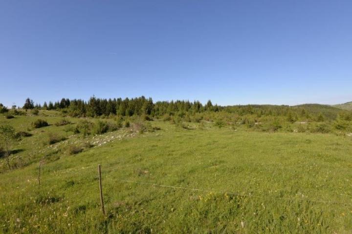 Prodaje se poljoprivredno zemljište 11971 m2, Komarani, Nova Varoš