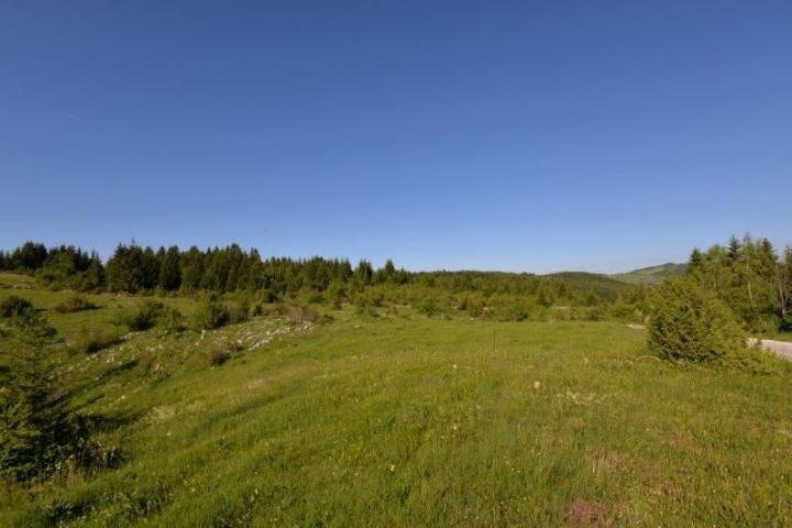 Prodaje se poljoprivredno zemljište 11971 m2, Komarani, Nova Varoš