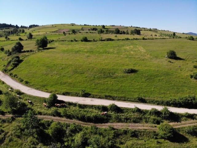 Prodaje se poljoprivredno zemljište 11028 m2, Gujanička mala, Nova Varoš