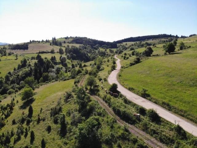 Prodaje se poljoprivredno zemljište 11028 m2, Gujanička mala, Nova Varoš