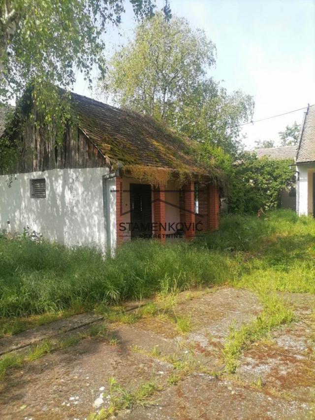 Bački Petrovac - Dobra kuća sa prelepim dvorištem i velikom baštom ID#5833