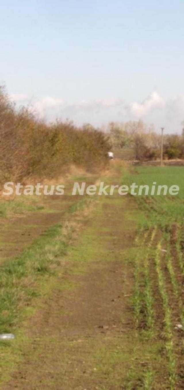 Sremska Mitrovica-Obradivo Poljoprivredno Zemljište 6 Hektara na dve Parcele u Okolini-065/385 8880