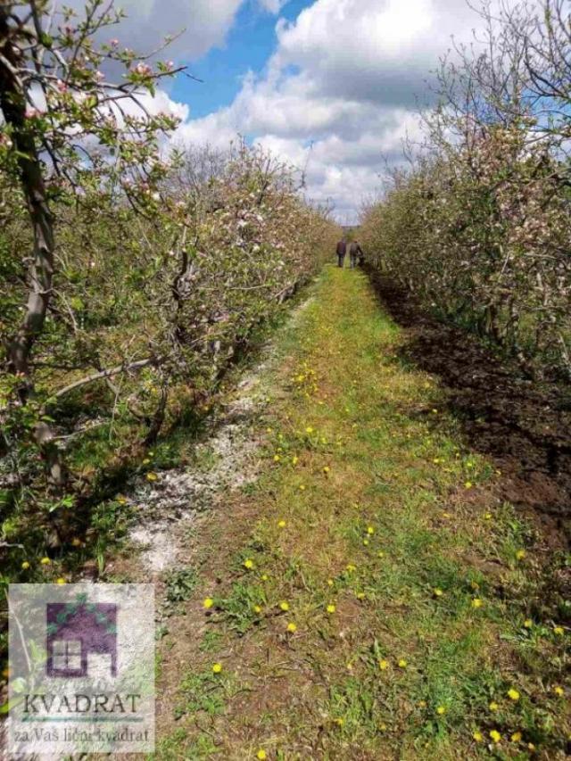 Plantaža jabuka sa nedovršenom kućom 30 m², 21 ar, Obrenovac, Rvati- 65 000 €