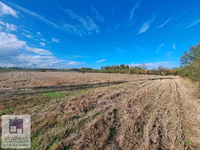 Poljoprivredno zemljište 3, 58 ha, Obrenovac, Veliko Polje– 53 700 €