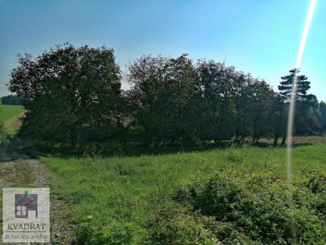 Poljoprivredno zemljište 13 ari, Obrenovac, Skela – 3 500 €
