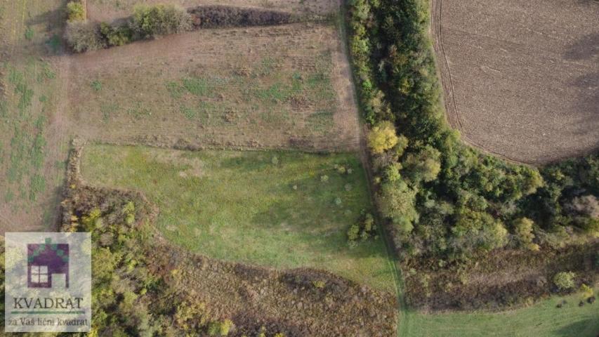 Poljoprivredno zemljište 2, 31 ha, Obrenovac, Veliko Polje – 13 000 €
