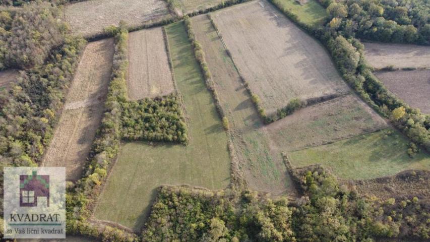 Poljoprivredno zemljište 2, 31 ha, Obrenovac, Veliko Polje – 13 000 €